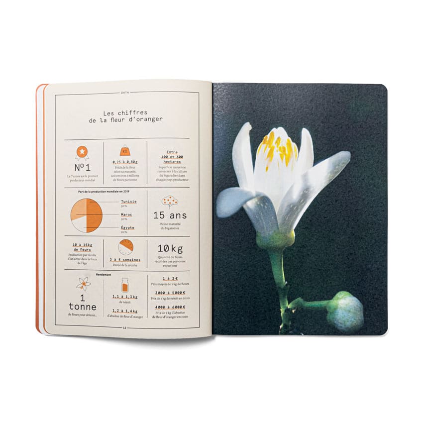La Fleur d'oranger en parfumerie
