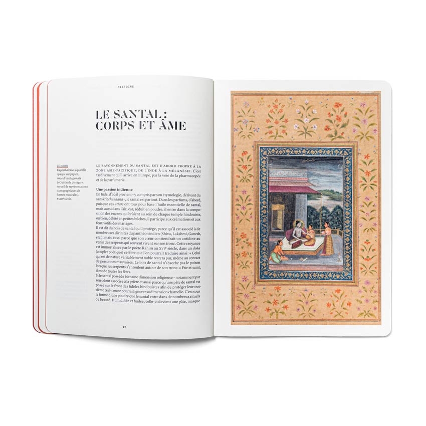 Le Santal en parfumerie