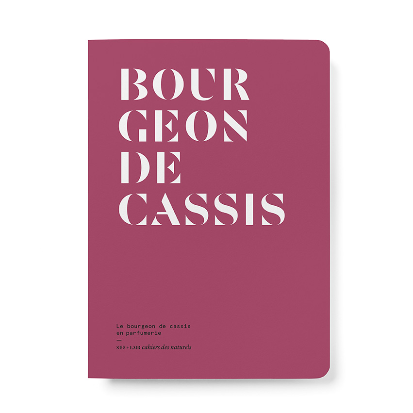 Le Bourgeon de cassis en parfumerie