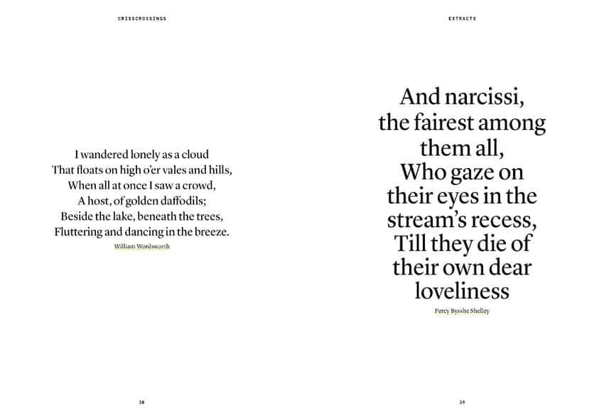 The Narcissus in perfumery - Collective – Image 4
