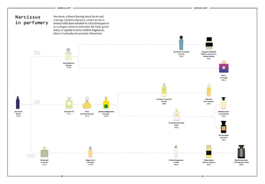 The Narcissus in perfumery - Collective – Image 8
