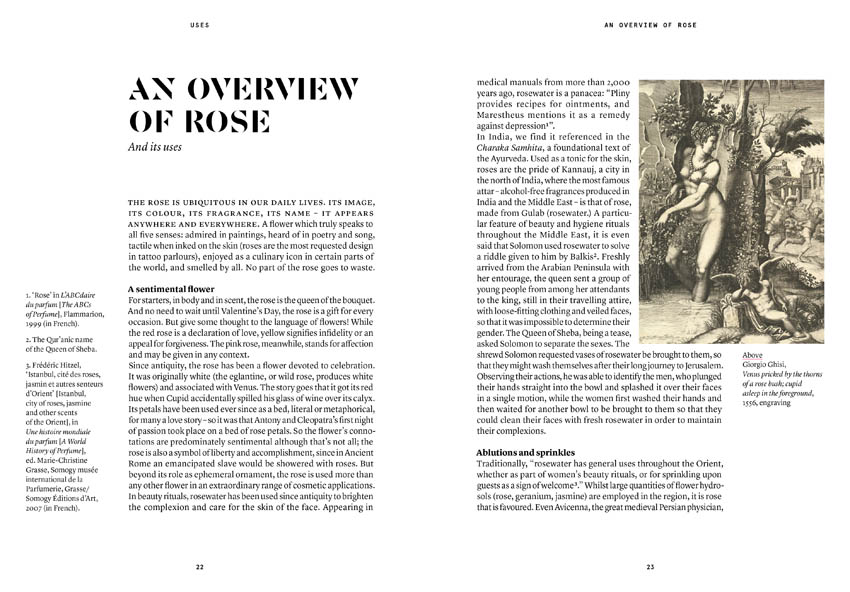 Damask Rose in Perfumery - Collective – Image 3