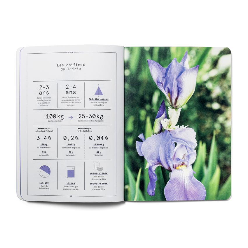 L'Iris en parfumerie
