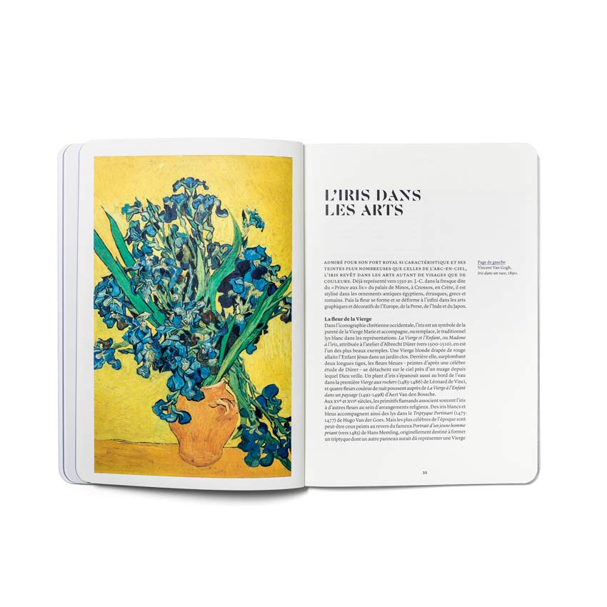 L'Iris en parfumerie