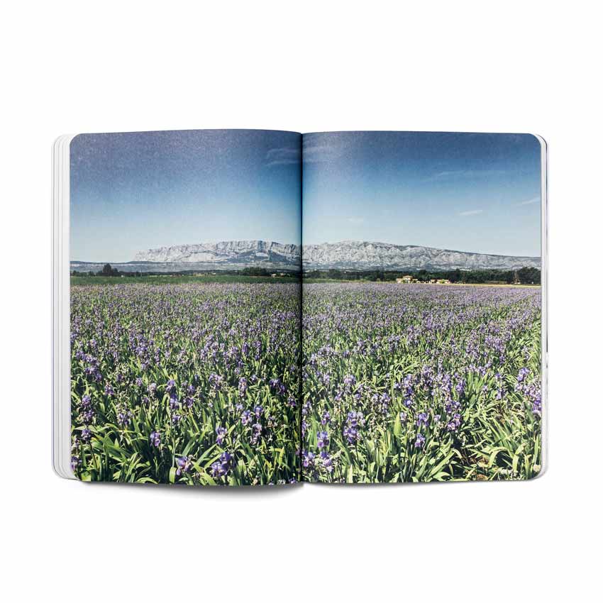 L'Iris en parfumerie